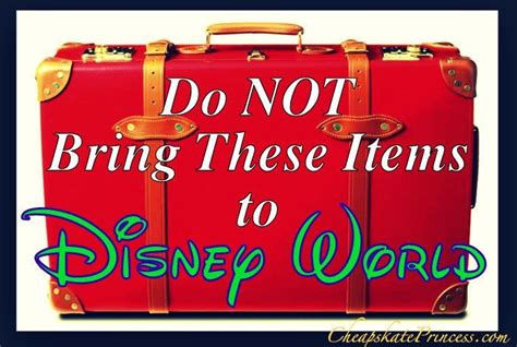 what is not allowed in disney world